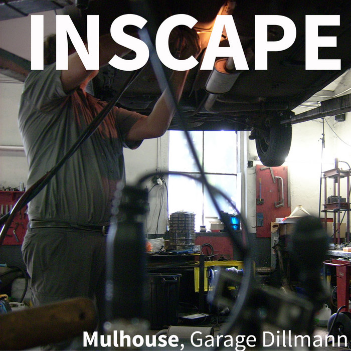 Mulhouse, Garage Dillmann JeanLuc + Eric La Casa Swarming