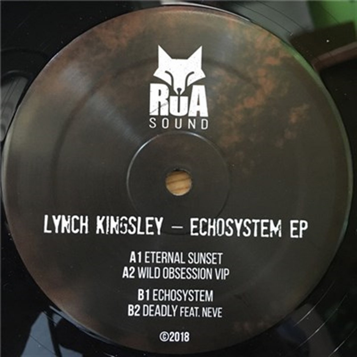 echosystem-lynch-kingsley