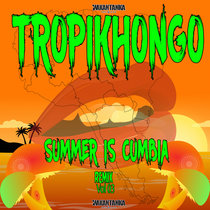 Summer is Cumbia Remix Vol 03- Tropikhongo cover art