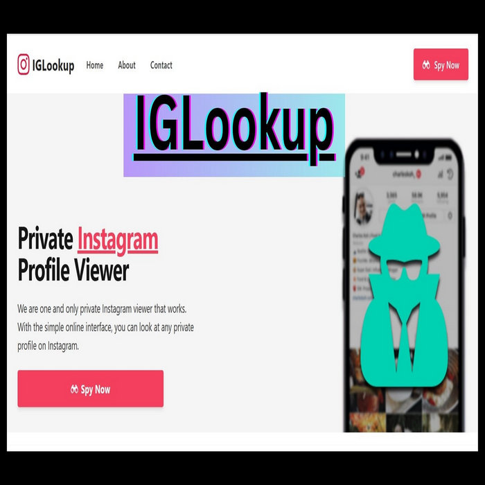 Everything You Need to Know About the IGLookup (Ultimate Guide