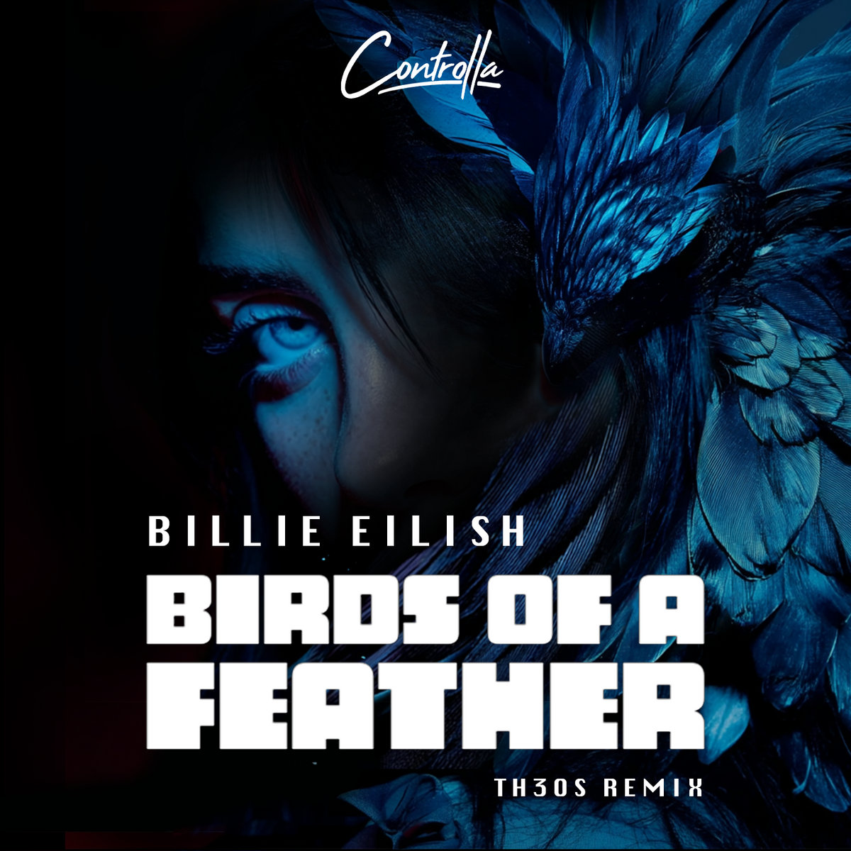 BIRDS OF A FEATHER (TH3OS REMIX)