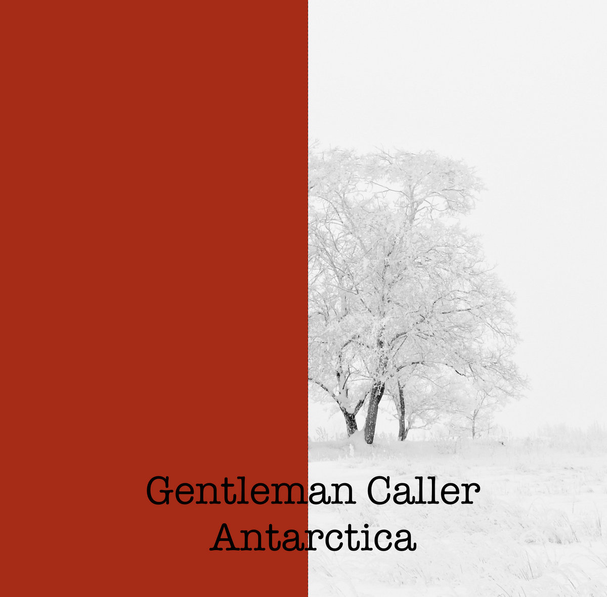 Gentleman Album Cover