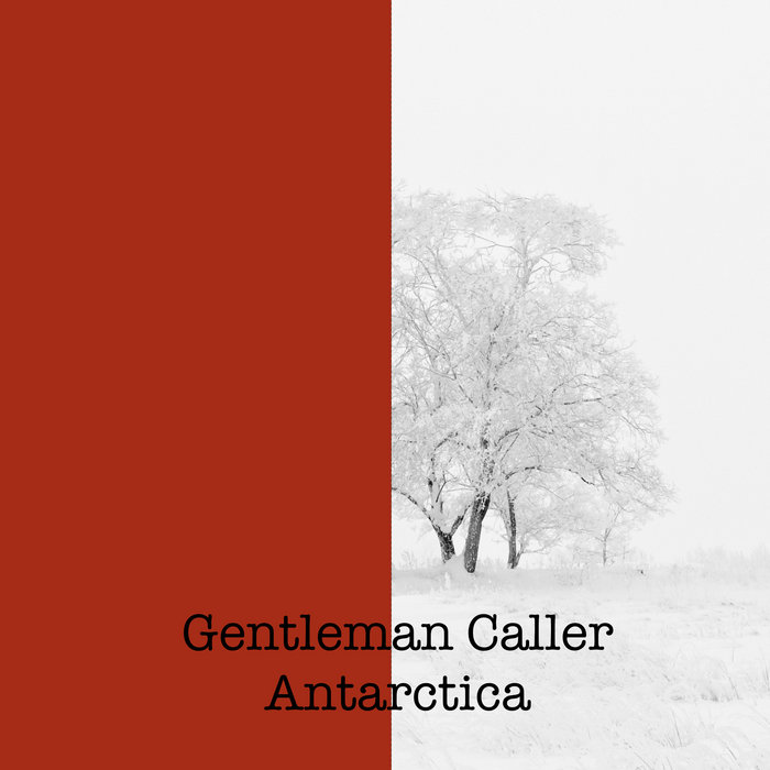 Antarctica Gentleman Caller