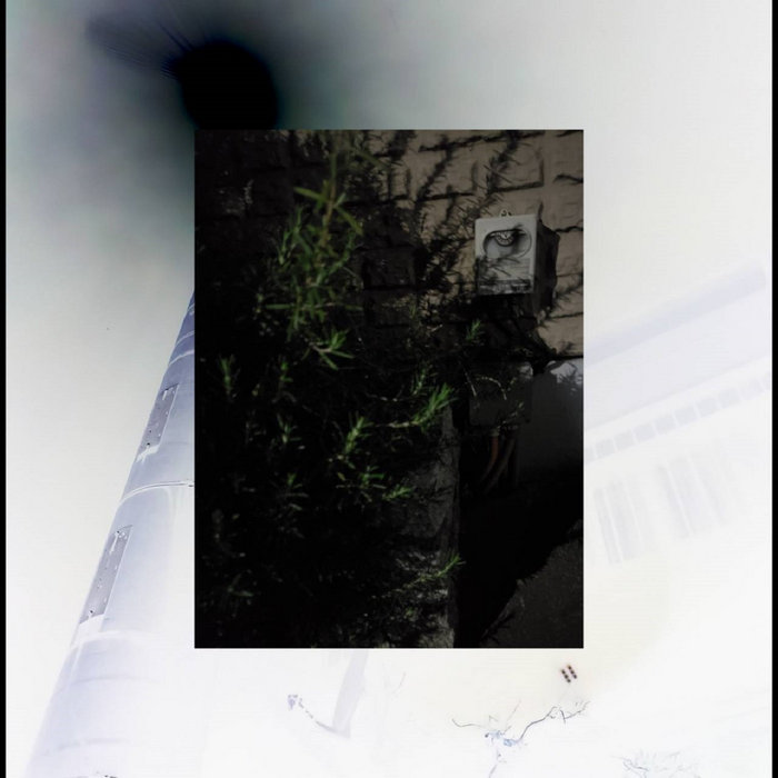 Killa da knot | shin(())code&konachan | $uiciderecord$