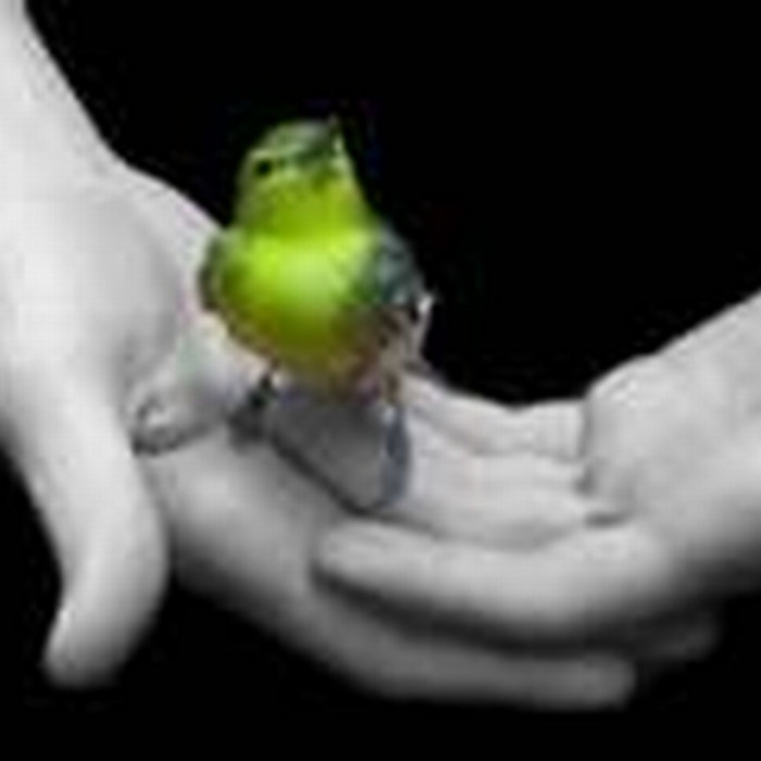 Away With Misery Slow Marching Band