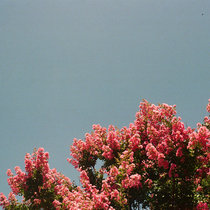 Dozens In Idaho cover art