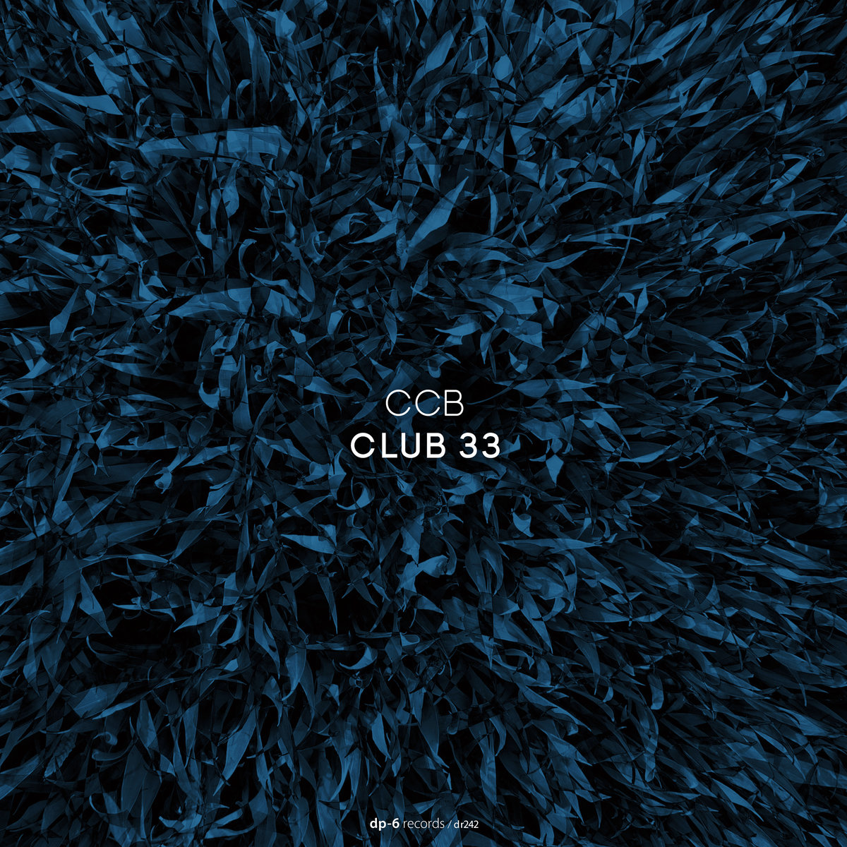 Club 33 CCB DP6