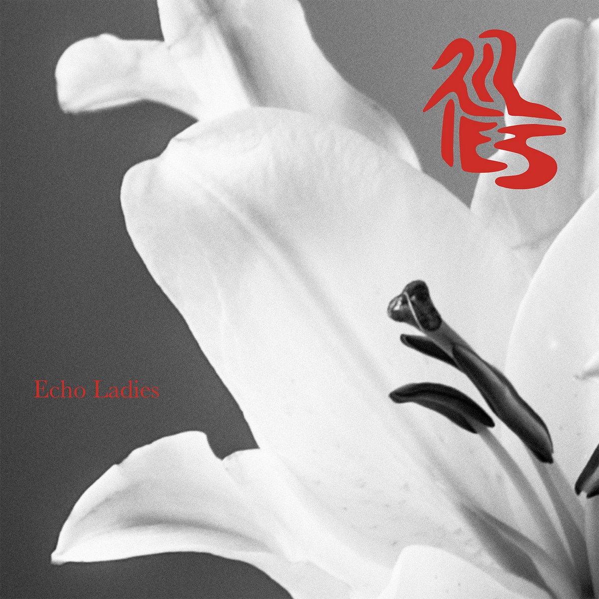 Lilies [LP] | Echo Ladies