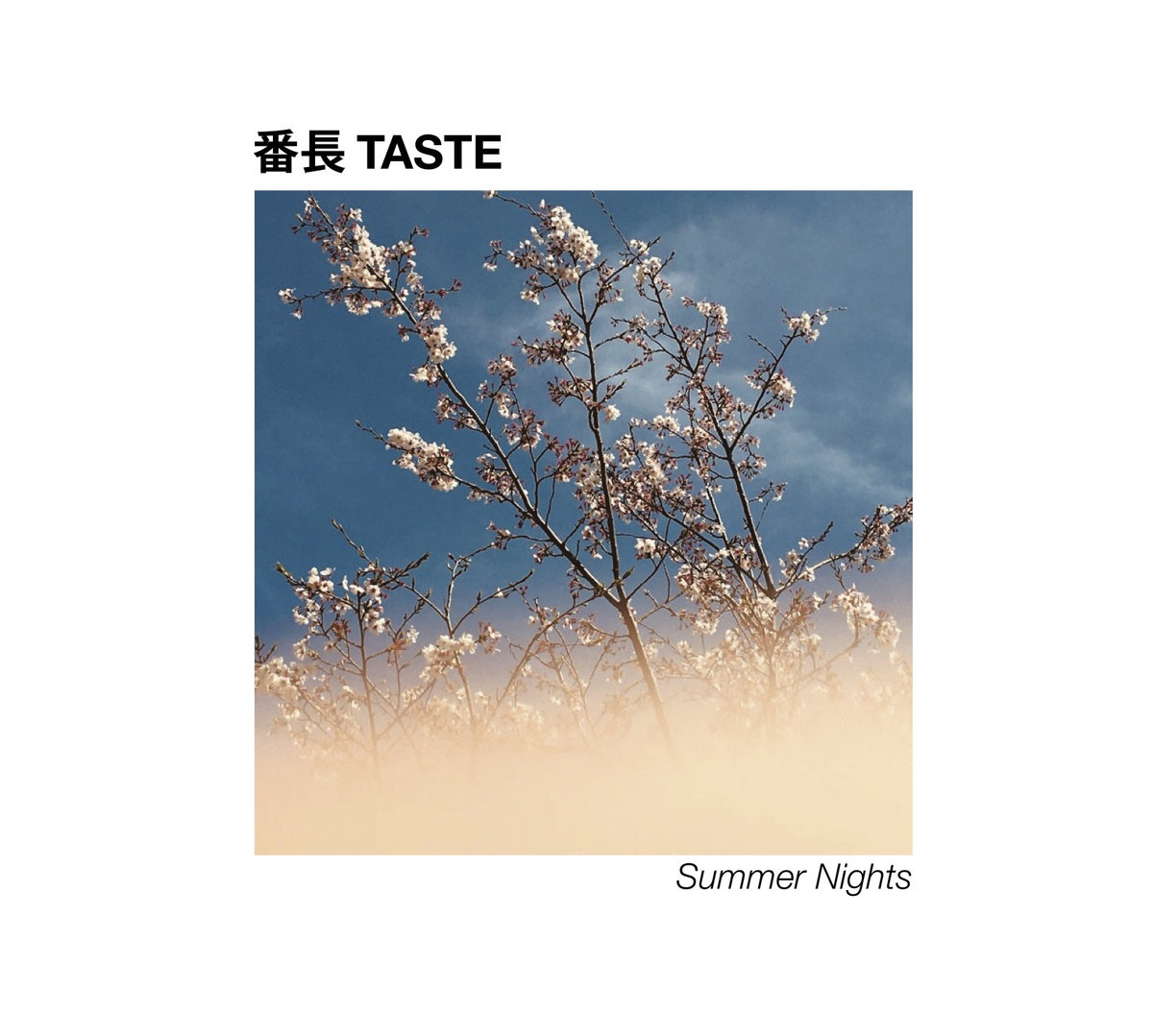 Summer Nights | 番⻑ TASTE | Carbon Records