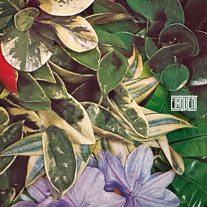 Elaquent - If Not Now, When?