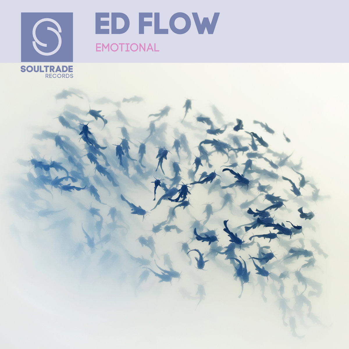 Emotional | Ed Flow