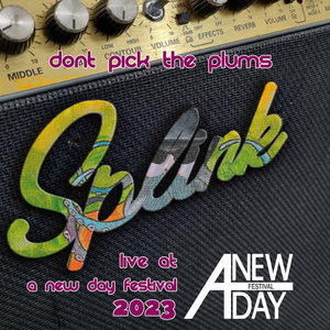 Don't pick the plums - Live at A New Day Festival 2023 cover