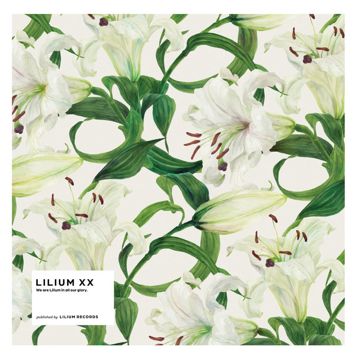 Lilium Montanum & Digitalis flower リトグラフ Lilium XX | Lilium Records