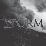 Storm (Alternate Mix) / Storm (DJ Hidden Remix)
