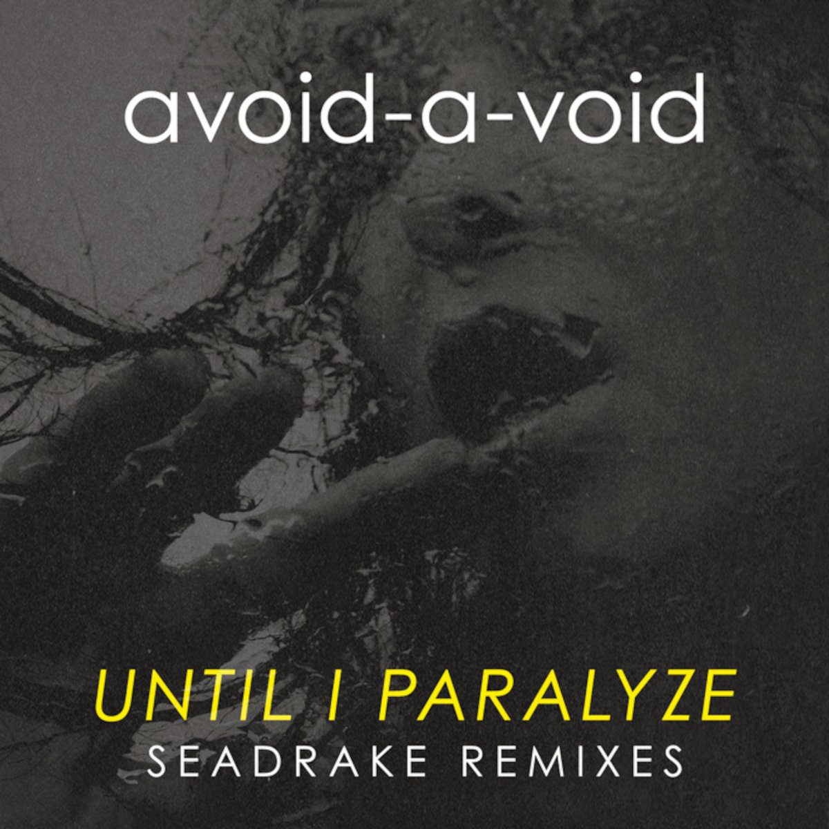 Until I Paralyze (Seadrake Remixes) | Avoid-A-Void | Echozone