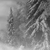 Svart Sorgseremoni... (demo)