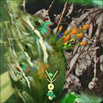 phyllomedusa bandcamp phyllomedusa bandcamp