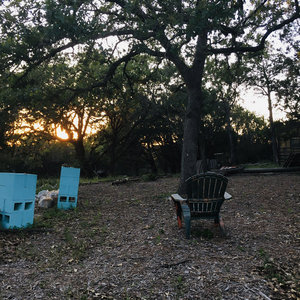 JDD & the Katydids Backyard mini-album cover