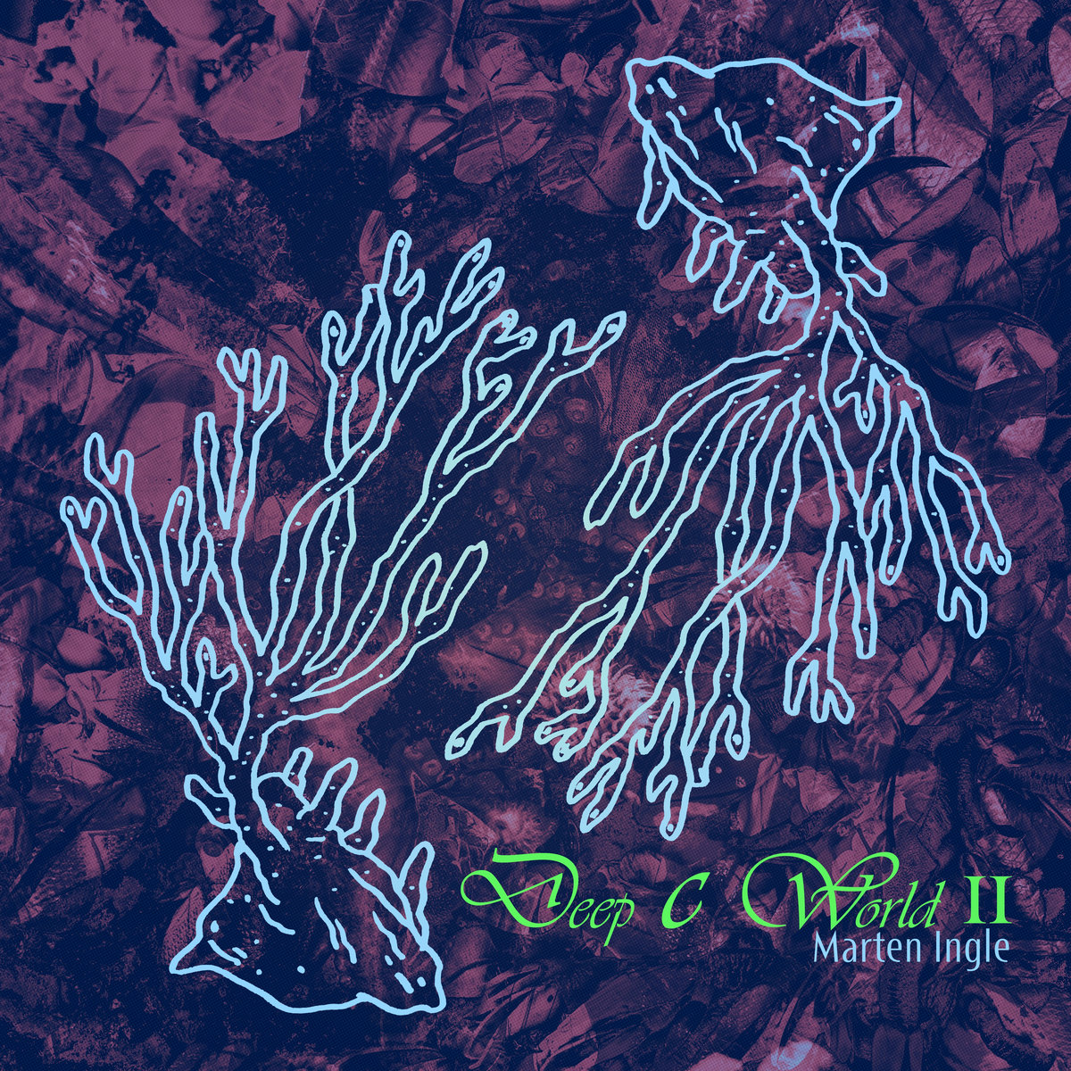 Neal Fun Deep Sea In The World Of Whales