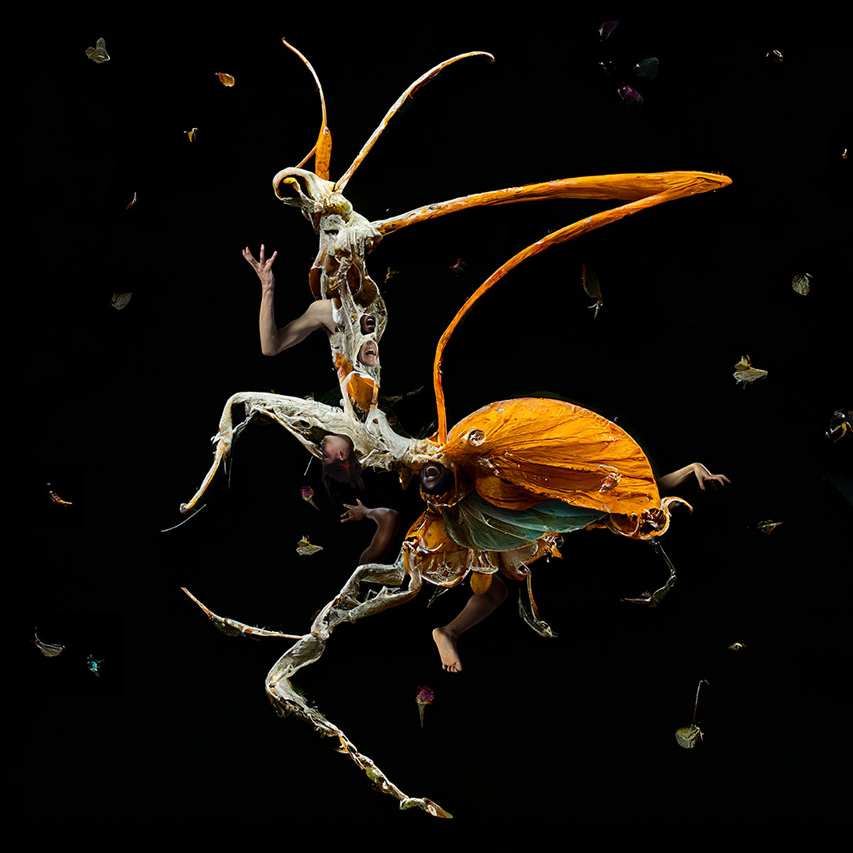 Metamorphosis (Original Soundtrack Recording) Stefan Janik