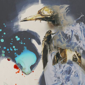 Fed From the Mouth, Thrown From The Nestandthecanaryfell. & Bird Law cover