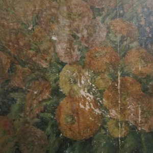 Young cover