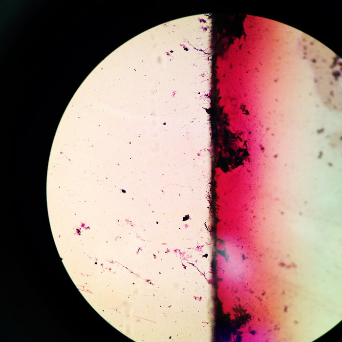 incomplete life works | james horbett