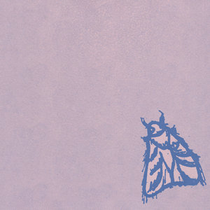 Failure to Find cover