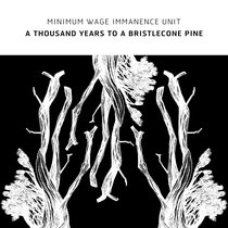 A Thousand Years To A Bristlecone Pine cover art