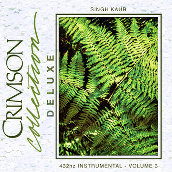Music | Singh Kaur