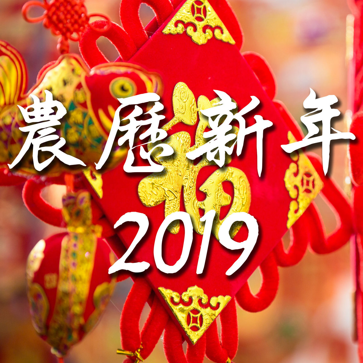 Chinese New Year 2019 | Lee Haw Han | Cha Tao