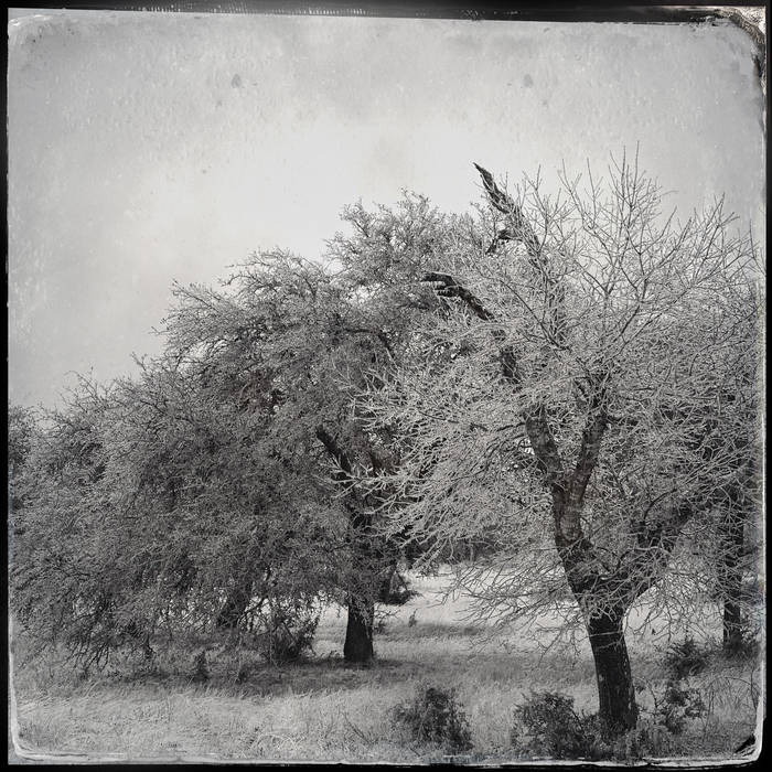 Delicate Noise - hence album artwork