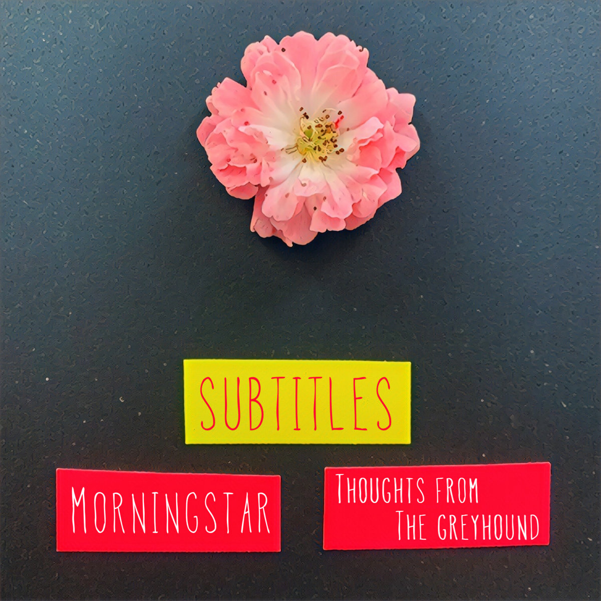 Morningstar Thoughts From The Greyhound Subtitles