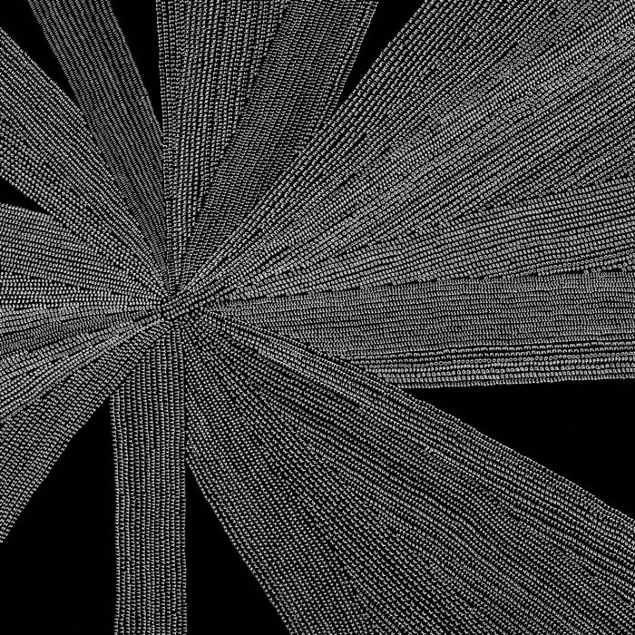 Solace of the Mind | Amina Claudine Myers | Red Hook Records