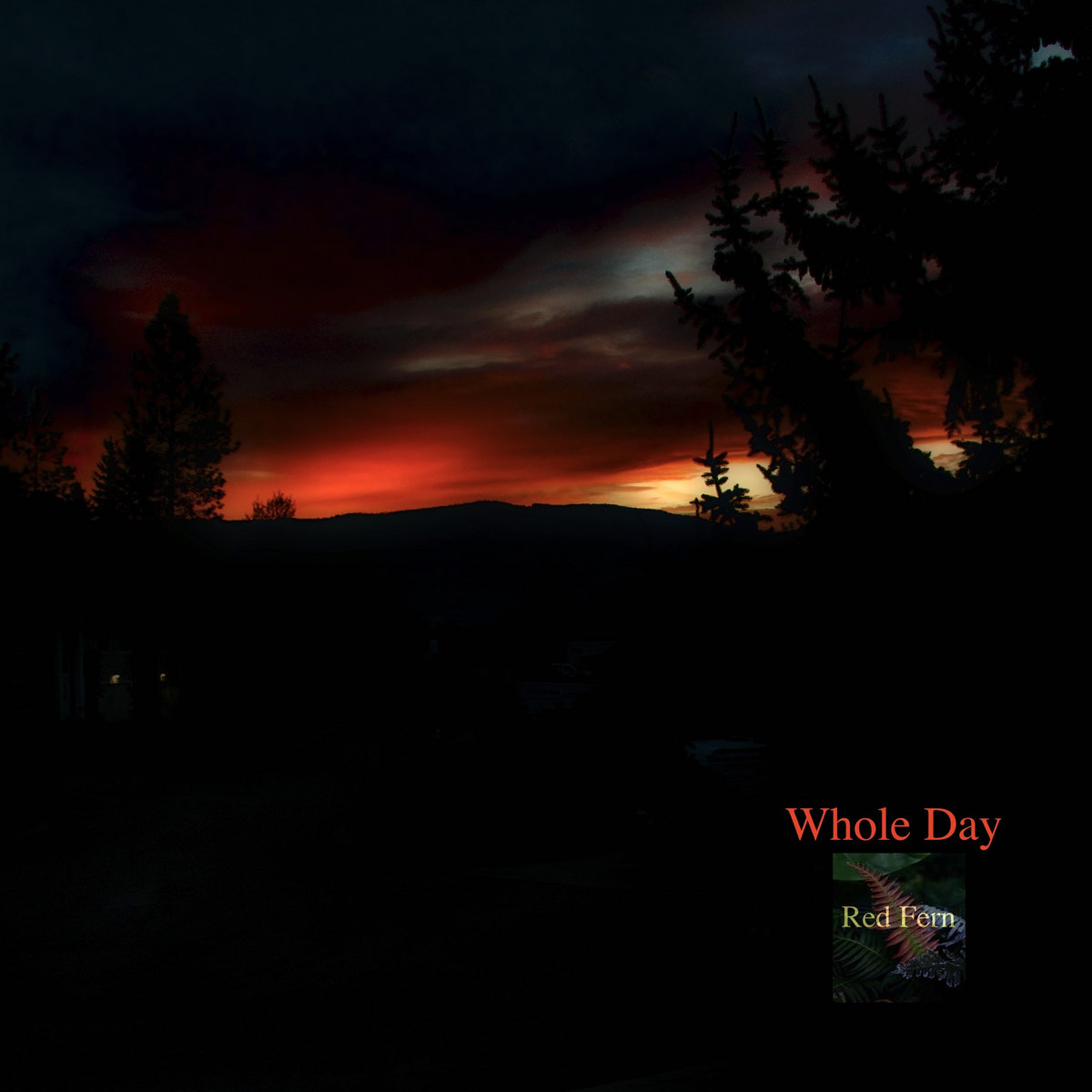 Whole Day | Rod Redfern