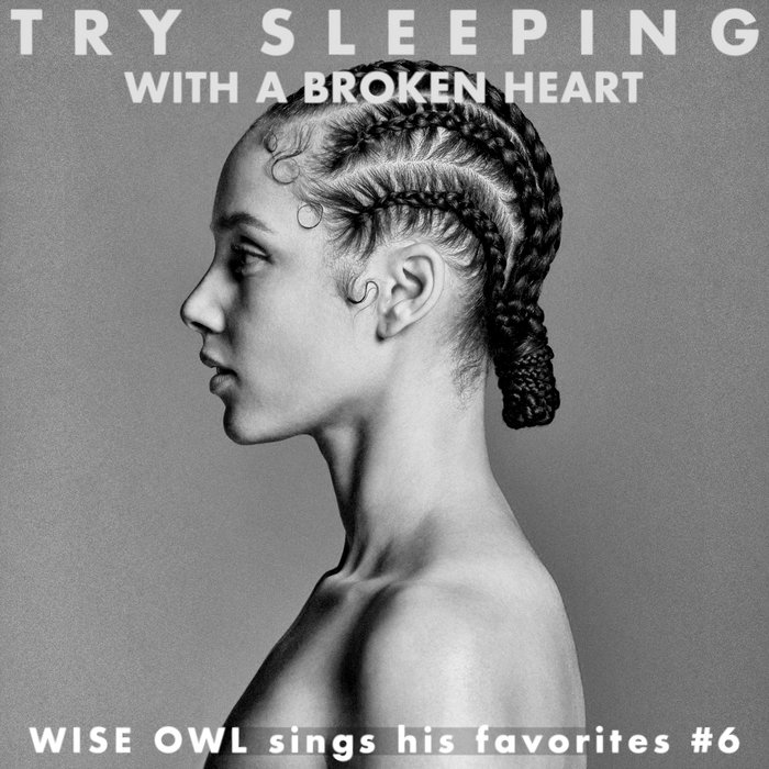 Try Sleeping with a Broken Heart Wise Owl