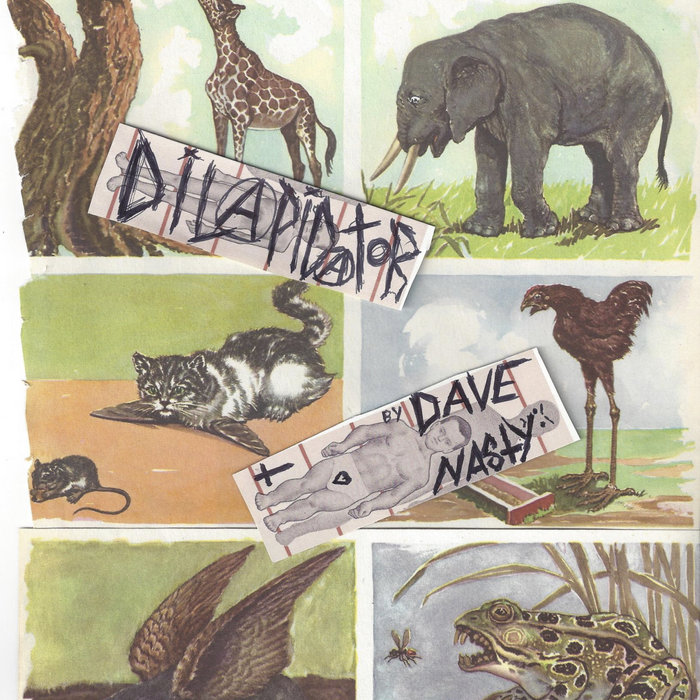 Trunkless Elephant | Dave Nasty