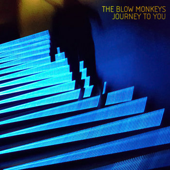 Music | The Blow Monkeys