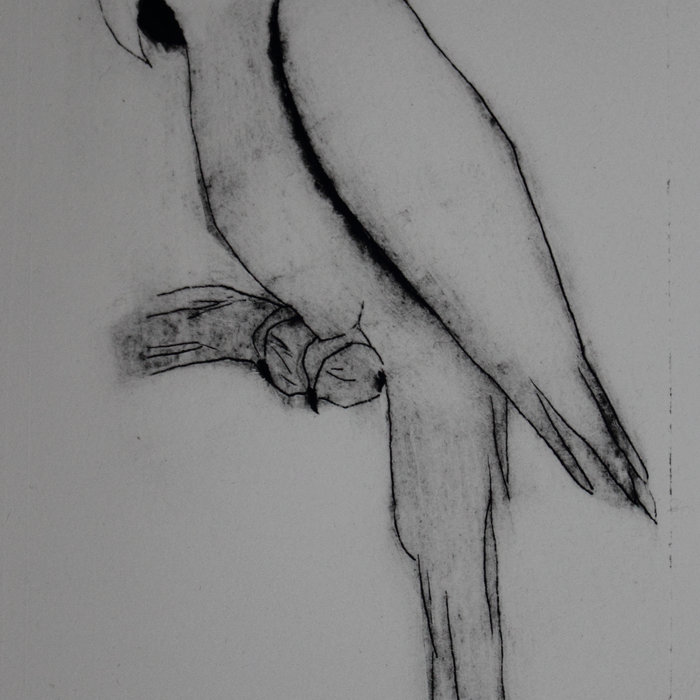 Radar 10 Homeopathic Software Crack Torrent Radar 10 Homeopathic Software Crack Torrent