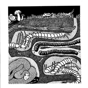 From Beneath cover