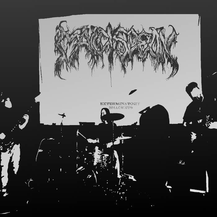 trevjf9911's collection | Bandcamp