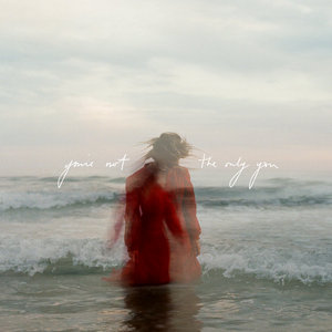 You're Not the Only You cover