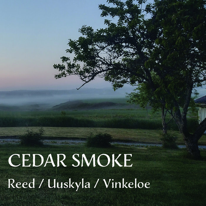 Cedar Smoke Cedar Smoke Reed/Uuskyla/Vinkeloe Strange Woman Records