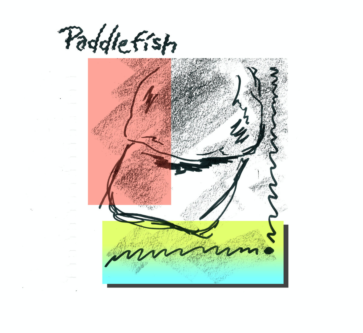 An Interview with Springfield indie rock band, Paddlefish the local joke