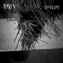 Raven / Inanition cover art