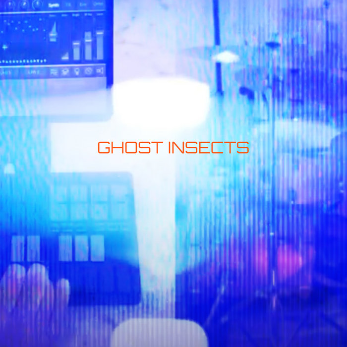 Ghost Insects | Ghost Insects