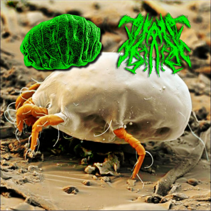 Poxo Insect x~)~~~(~o~)~~~(~x~)~~~(~o~)~~~ ( split with xNEFFx ) | xNEFFx, CYP450 ...