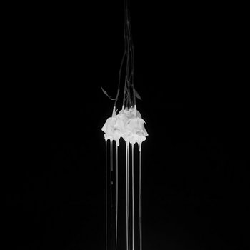 Speaker for the Dead