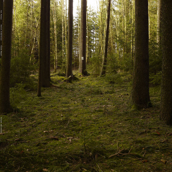 Forest Recording
von Ian Fisher, Simon Bauer, & Daniel Schröteler