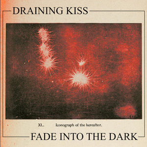 Fade into the Dark cover